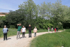 IMG-37f1c13200f867b3fc14eed4b66c929a-V