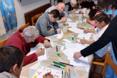 IMG_20230515_132036-Medium