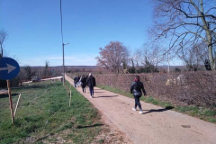 IMG_20230317_103720