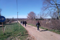 IMG_20230317_103720