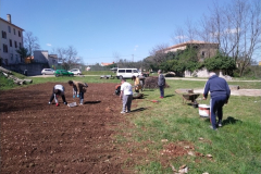 IMG_20230406_131022-Medium