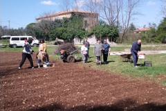 IMG_20230406_131104-Medium