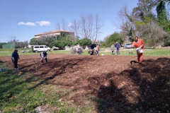 IMG_20230406_131517-Medium