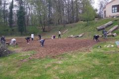 IMG_20230412_100421-Medium