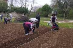 IMG_20230412_100740-Medium