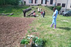 IMG_20230428_104655-Medium