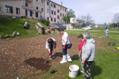 IMG_20230428_104718-Medium