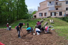 IMG_20230428_111556-Medium