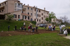 IMG_20230428_113441-Medium