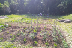 IMG_20230529_092940-Medium