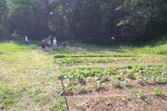 IMG_20230529_094804-Medium