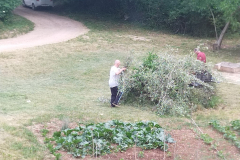 IMG_20230531_115414-Medium