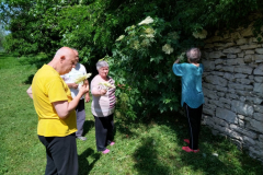 IMG_20230525_112037-Medium