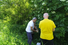 IMG_20230525_114013-Medium