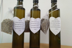 IMG_20230531_124131-Medium