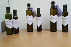 IMG_20230602_082640-Medium