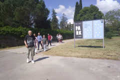 IMG_20230602_102652-Medium